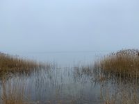 Greifswalder Bodden im Nebel